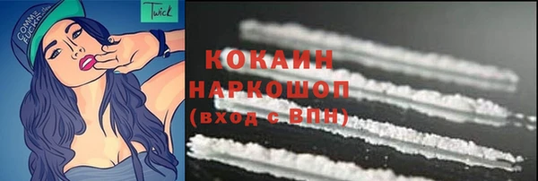 a pvp Горняк