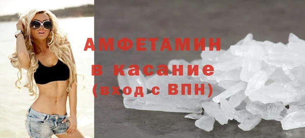молекула духа Вяземский