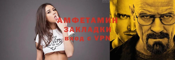 молекула духа Вяземский