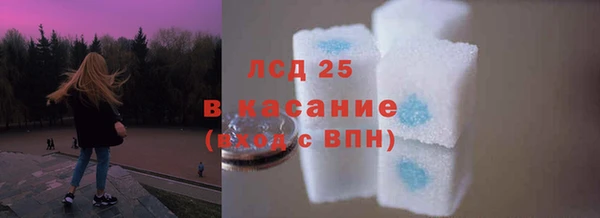 молекула духа Вяземский