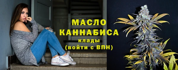 молекула духа Вяземский