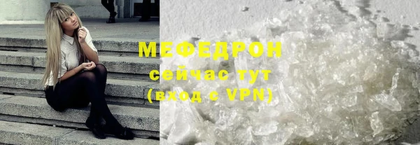 молекула духа Вяземский