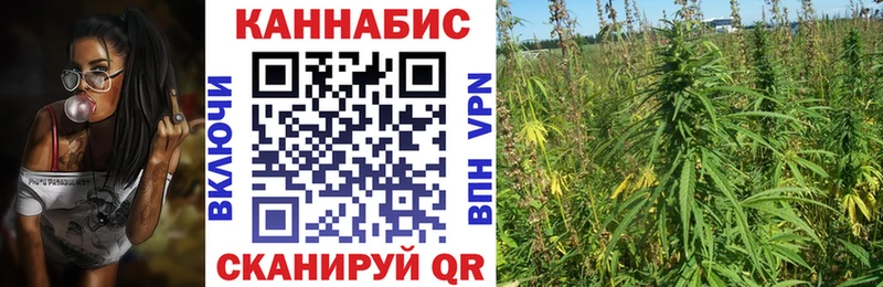 Шишки марихуана VHQ  дарк нет официальный сайт  Чкаловск  купить  цена 
